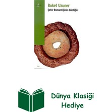 Everest Yayınları Şehir Romantiğinin Günlüğü + Dünya Klasiği Hediye