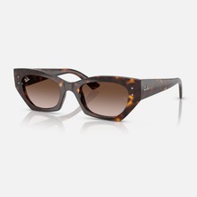 Ray-Ban Güneş Gözlüğü RB4430 49 135913