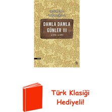 Everest Yayınları Damla Damla Günler 3 + Türk Klasiği Hediye