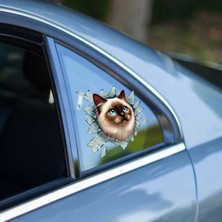 Demir Grup Fulcar Siamesse Araç Stickerı