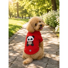 Miniş Cute Panda Küçük Irk Köpek Pike Kumaş Polo T-Shirt