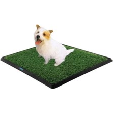 Hace Bazaar Köpek Tuvalet Eğitim Seti