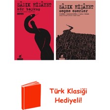 Ayrıntı Yayınları Sadık Hidayet 2 Kitap Seti + Türk Klasiği Hediye