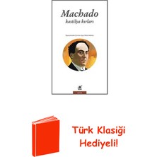 Ayrıntı Yayınları Kastilya Kırları + Türk Klasiği Hediye
