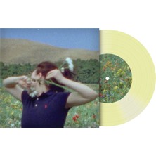 Ekinoks Plak Billie Eilish - Birds Of A Feather, 7", 45LIK Plak