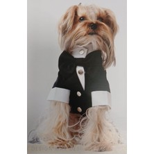 Max Design Siyah Papyonlu Köpek Smokini