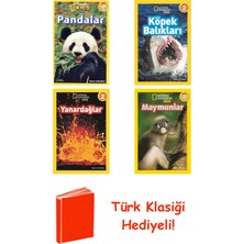 Beta Kids Anne Schreiber 4 Kitap Seti + Türk Klasiği Hediye
