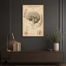 Gaagart Tekli Dikey Kanvas Tablo Vintage Insan Beyni Anatomi Şeması Retro Bilimsel Duvar Sanatı