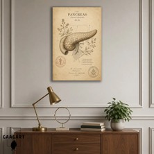 Gaagart Tekli Dikey Kanvas Tablo Vintage Pankreas Anatomisi Botanik Medikal Poster