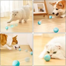 Hace Bazaar Interaktif Kedi Köpek Şarjlı Oyun Topu
