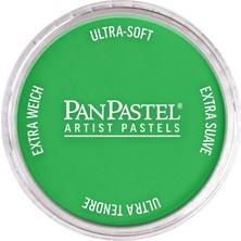Panpastel Ultra Soft Artist Pastel Boya Permanent Green 26405