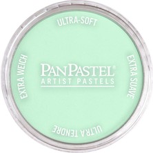Panpastel Ultra Soft Artist Pastel Boya Permanent Green Tint 26408