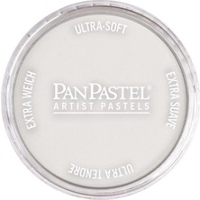 Panpastel Ultra Soft Artist Pastel Boya Silver 29205