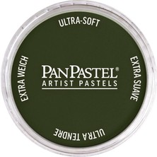 Panpastel Ultra Soft Artist Pastel Boya Chromium Oxide Green Shade 26603
