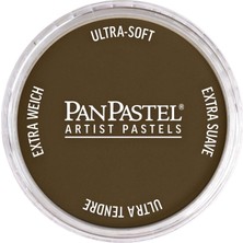 Panpastel Ultra Soft Artist Pastel Boya Raw Umber 27805
