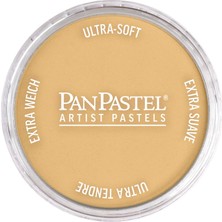 Panpastel Ultra Soft Artist Pastel Boya Rich Gold 29115