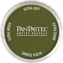 Panpastel Ultra Soft Artist Pastel Boya Hansa Yellow Extra Dark 22201