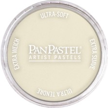 Panpastel Ultra Soft Artist Pastel Boya Raw Umber Tint 27808