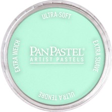 Panpastel Ultra Soft Artist Pastel Boya Pearlescent Green 29565