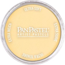 Panpastel Ultra Soft Artist Pastel Boya Light Gold 29105