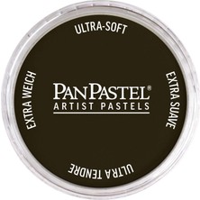 Panpastel Ultra Soft Artist Pastel Boya Raw Umber Extra Dark 27801