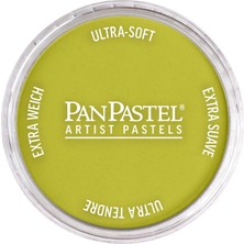 Panpastel Ultra Soft Artist Pastel Boya Hansa Yellow Shade 22203