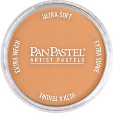 Panpastel Ultra Soft Artist Pastel Boya Bronze 29305
