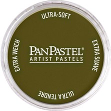 Panpastel Ultra Soft Artist Pastel Boya Bright Yellow Green Extra Dark 26801