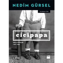 Die Grup Toplu Öyküler: 1967-1990 Döneminde Edebiyat ve Toplumsal Değişimler