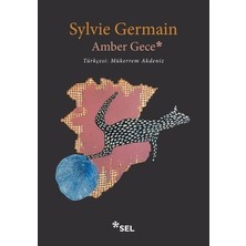 Die Grup Gece Temalı Amber Romanı