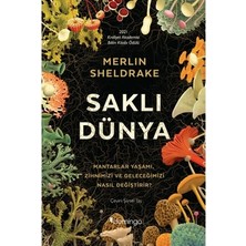 Die Grup Mantarların Doğası ve Gelecek Üzerindeki Etkileri - 384 Sayfa