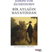 Die Grup Bir Aylak Olmanın Hayatındaki Hikayesi