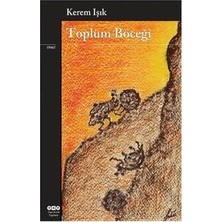 Die Grup Toplumun Yüzü: Insanların Hikayeleri ve Yaşam Mücadelesi
