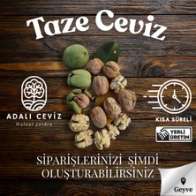 Adalı Ceviz - Taze Ceviz | 2026 Hasadı, Yeni Hasat