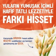 Die Grup Şekersiz Yulaf Sütü 2x1 L Vegan Yüksek Lif Içeren Türkiye Menşeli