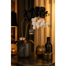 BGG 🌿 Ada Noir | Siyah Beton Saksıda Siyah & Beyaz Orkide Aranjmanı