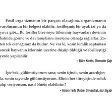 Die Grup Adem'den Önceki Yaşam: Eski Medeniyetlerin Izinde