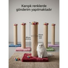 Patiderm Kedi Tırmalama Tahtası Hasır 80CM Karışık Renk 10 cm Boru Çapı  Karışık