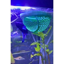 Piyatech Beta Balığı Köpük Yuva Üretim ve Dinlenme Alanı Akvaryum Saklanma Dekoru 9 cm