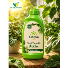 Gübretaş Bahçem Yeşil Yapraklılar 500CC-PYZJ-BBG-SÜS