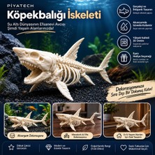 Piyatech 3D Köpekbalığı Iskeleti Fosil Görünümlü Akvaryum Dekoru ve Masaüstü Süs Figürü Kemik Rengi