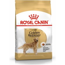 Royal Canin Golden Retriever Yetişkin Kuru Köpek Maması 12kg