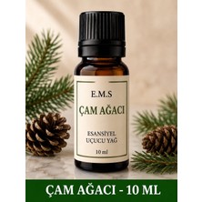 E.M.S ÇAM AĞACI Esansiyel Uçucu Yağ Buhurdanlık Yağı Difüzör Esansı Oda Kokusu Esansı MUM ESANSI 10 ML.