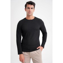 Efor Slim Fit Esnek Pamuklu Dokulu Kumaş Uzun Kollu Siyah Tişört Ts 934