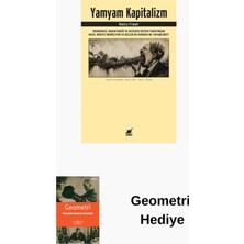 Ayrıntı Yayınları Yamyam Kapitalizm: Demokrasi Bakım Emeği ve Gez... + Geometri Hediye