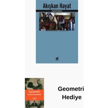 Ayrıntı Yayınları Akışkan Hayat + Geometri Hediye