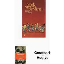 Ayrıntı Yayınları Emek Vererek Demokrasi + Geometri Hediye