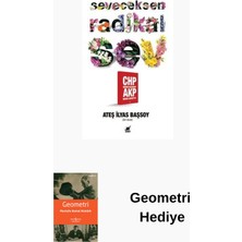 Ayrıntı Yayınları Seveceksen Radikal Sev - Chp Neden Kazandı? Akp... + Geometri Hediye