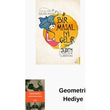 Destek Yayınları Bir Masal Iyi Gelir + Geometri Hediye