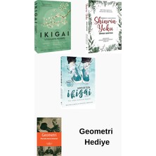 İndigo Kitap Francesc Miralles 3 Kitap Seti + Geometri Hediye